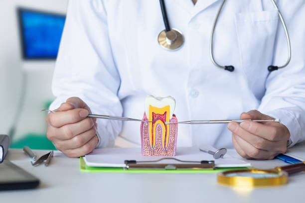 Best Emergency TMJ Treatment in Vienna Bend, LA